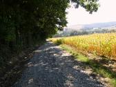  Wanderroute nach Reutern 
